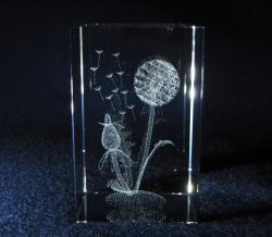 Миниатюрный сувенир из стекла. Изображение цветков одуванчика. Лазерная графика в стекле.