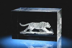 Амурский тигр. Сувенир из стекла с лазерной гравировкой.